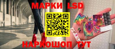 прущие грибы Донской
