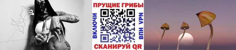 купить наркоту  Обнинск  Псилоцибиновые грибы мухоморы 