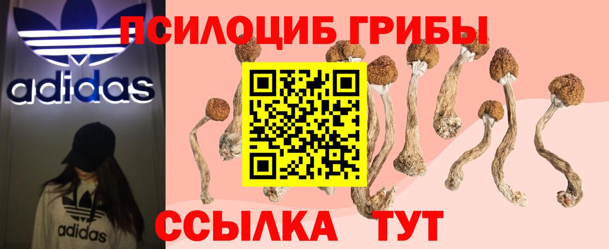 Галлюциногенные грибы Psilocybe  хочу наркоту  Вход с VPN  Обнинск  Псилоцибиновые грибы Magic Shrooms 